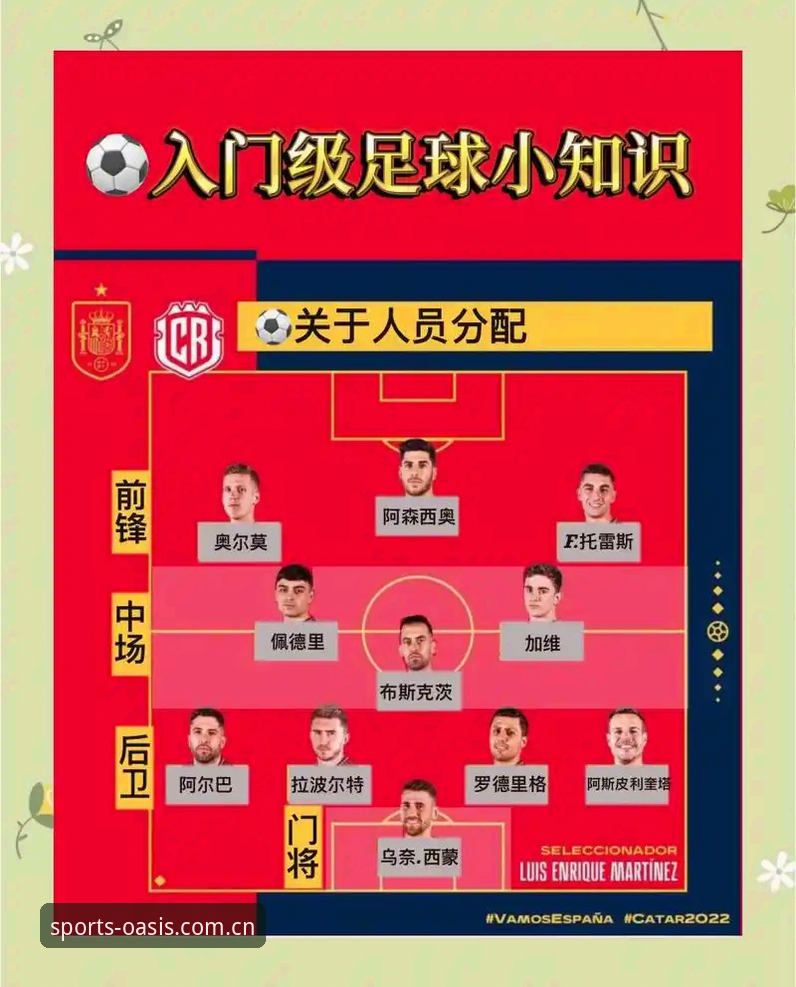 绿茵体育APP 绿茵体育APP功能完整指南与2026足球体育平台使用新手教程