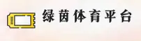 绿茵体育(CHINA)官方网站 — 便捷访问